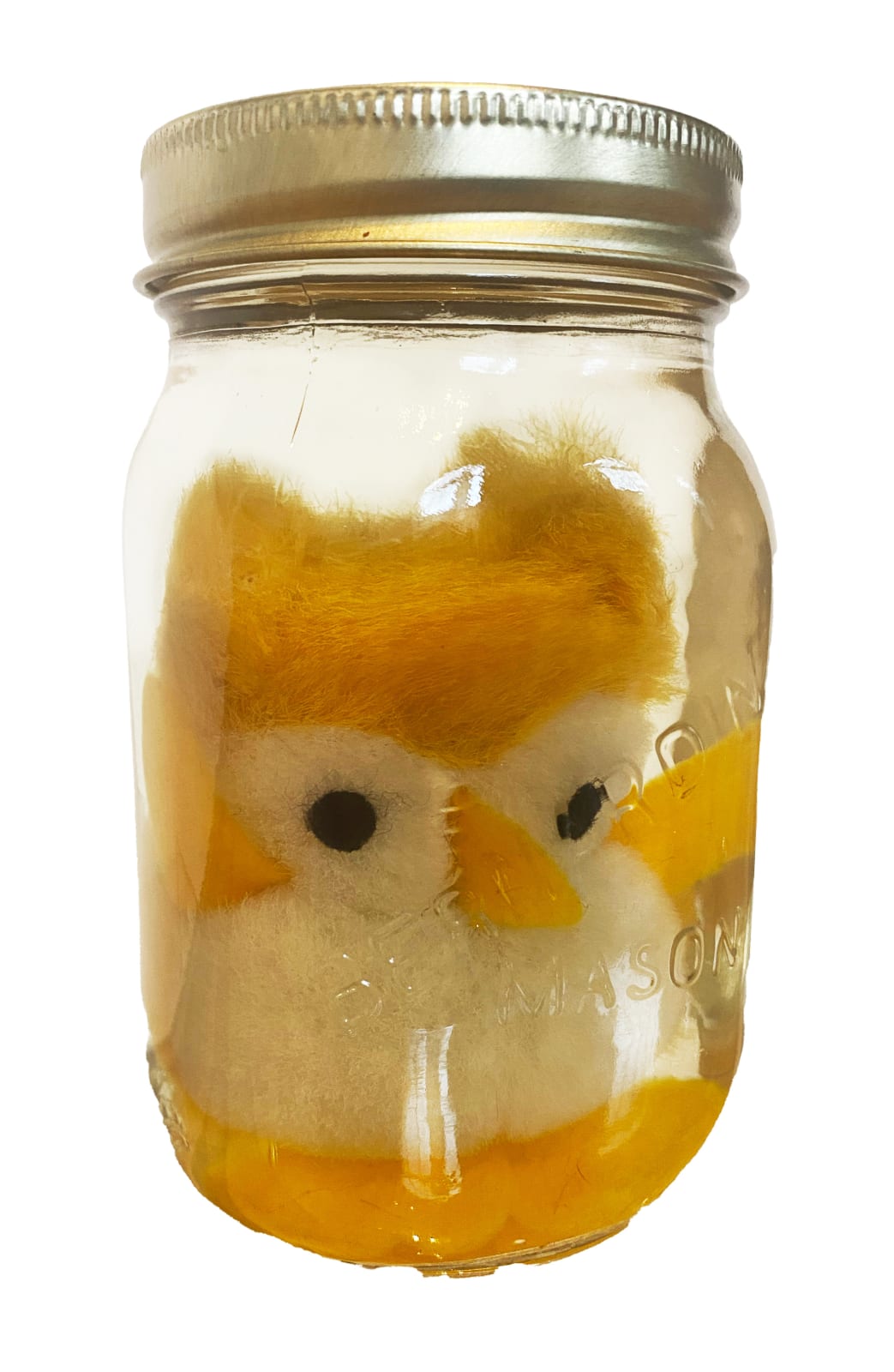 IAIN BAXTER&, Animal Preserve 5, 1999