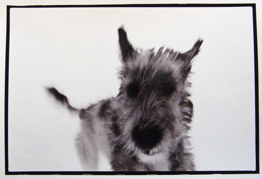 Burt Covit, Lally, Montreal, ed. 1/10, 1994
