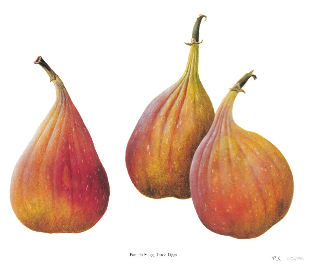Pamela Stagg, Three Figs