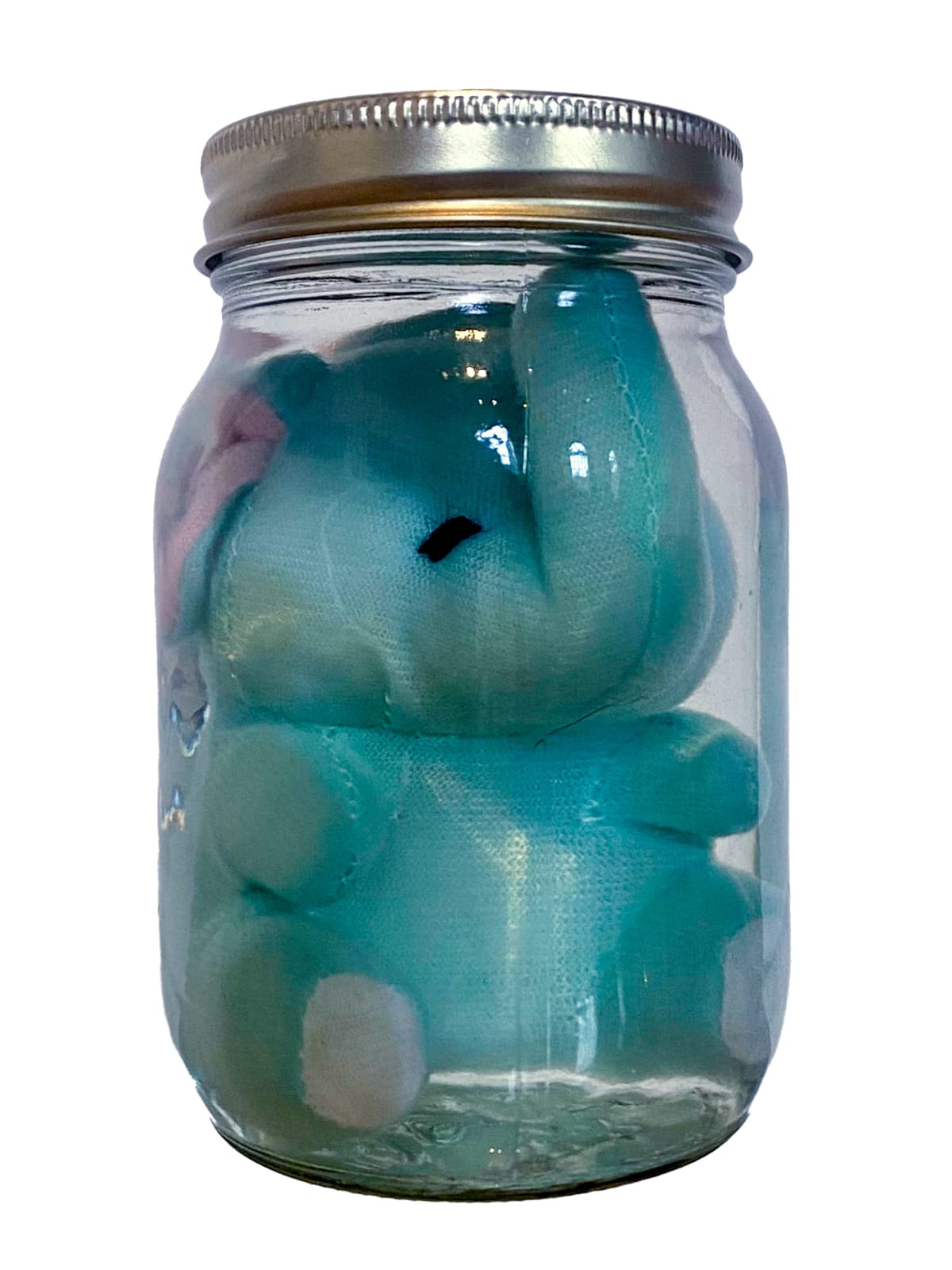 IAIN BAXTER&, Animal Preserve 2, 1999