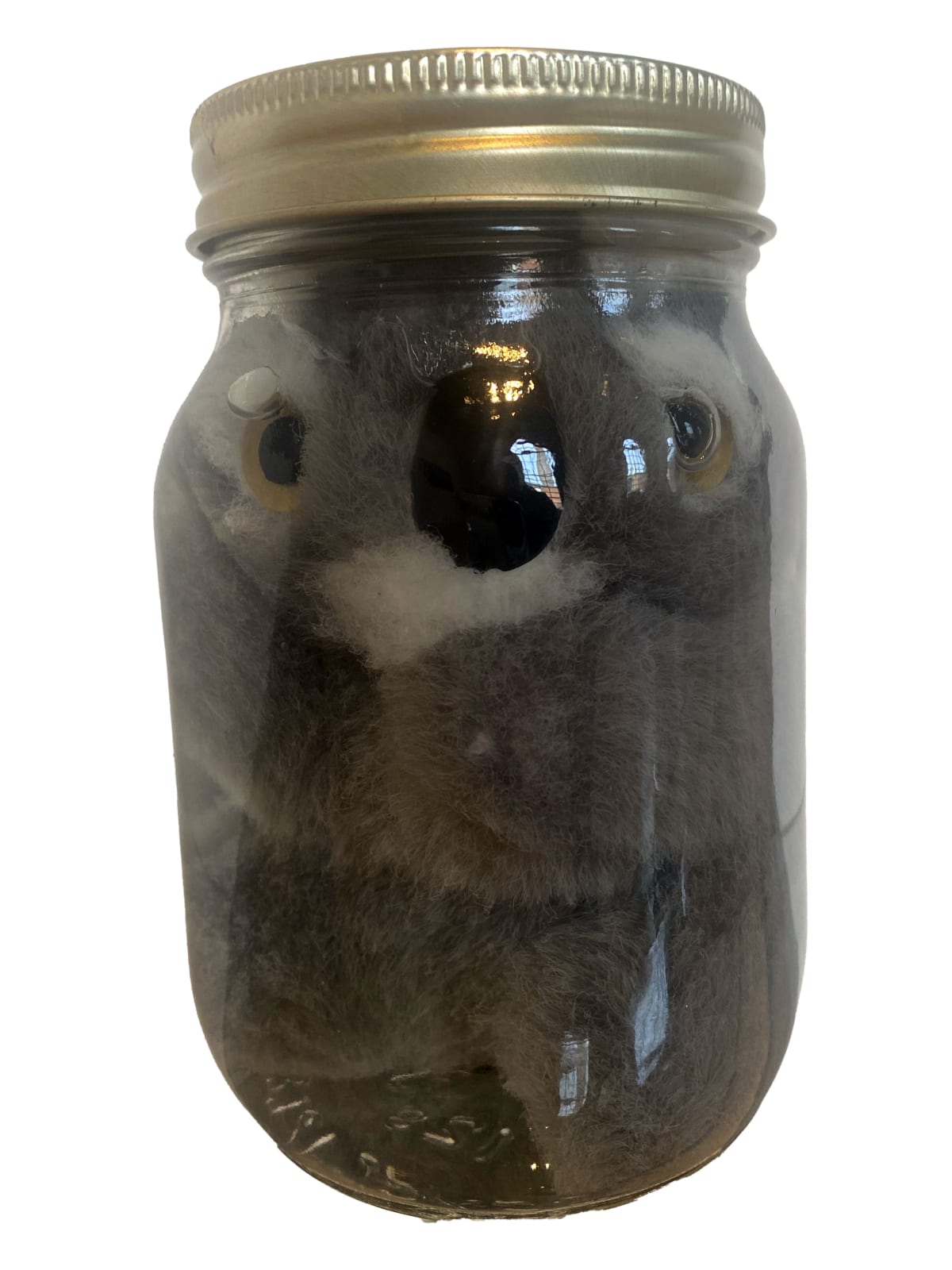 IAIN BAXTER&, Animal Preserve 15, 1999