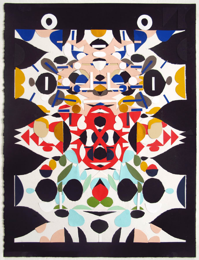 Hernán Paganini, Visualizando el sonido, 2014