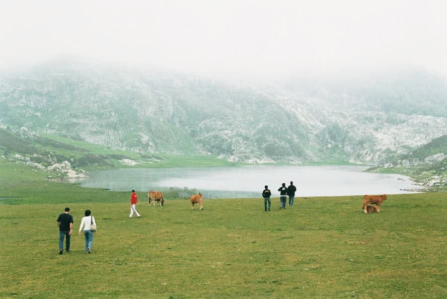 Grit Schwerdtfeger, Bergsee, 2006
