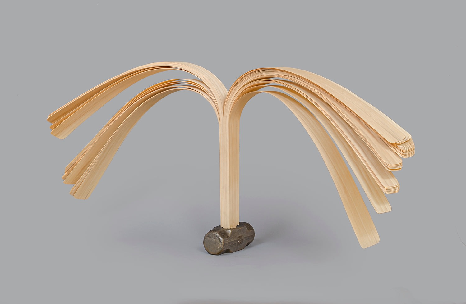 Colectivo MANGLE, Porra 10 libras, 2015