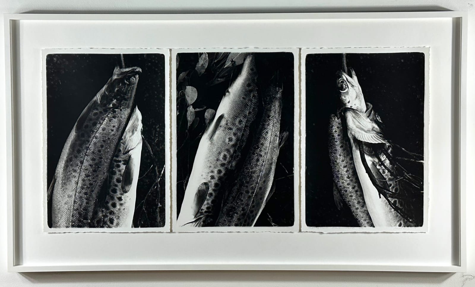 Carol Marino, Gift of Trout, Newfoundland, 1999