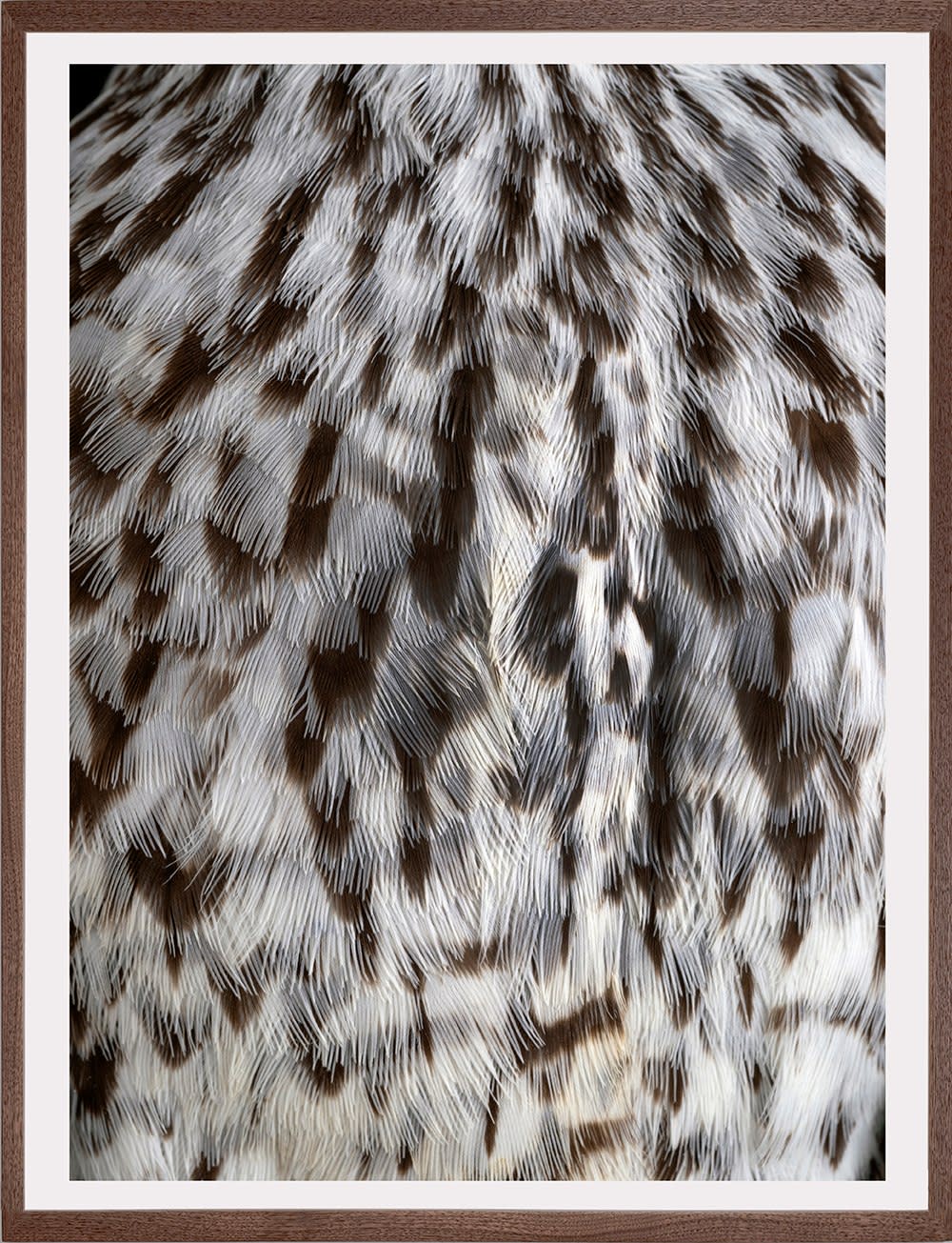 Thaddeus Holownia, Greater Yellowlegs, 2022