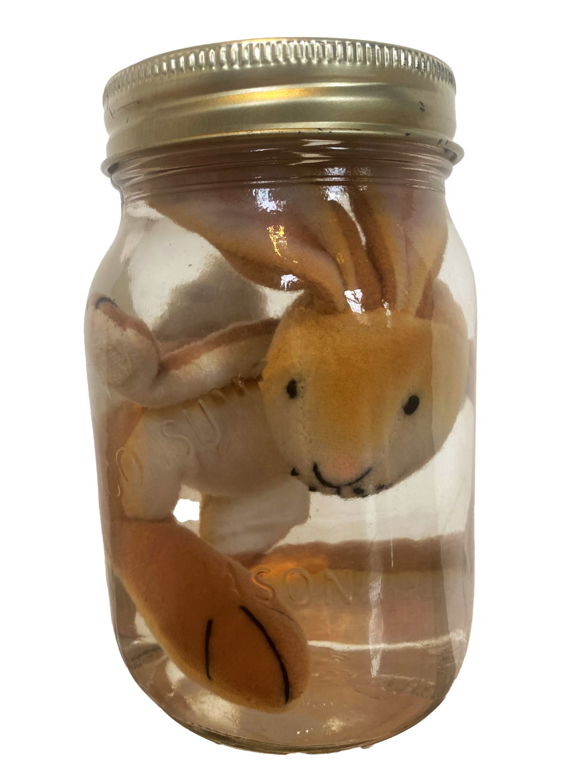 IAIN BAXTER&, Animal Preserve 12, 1999