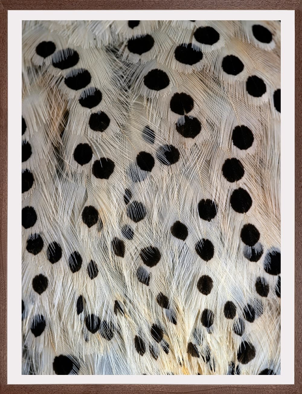 Thaddeus Holownia, Flicker #2, 2022