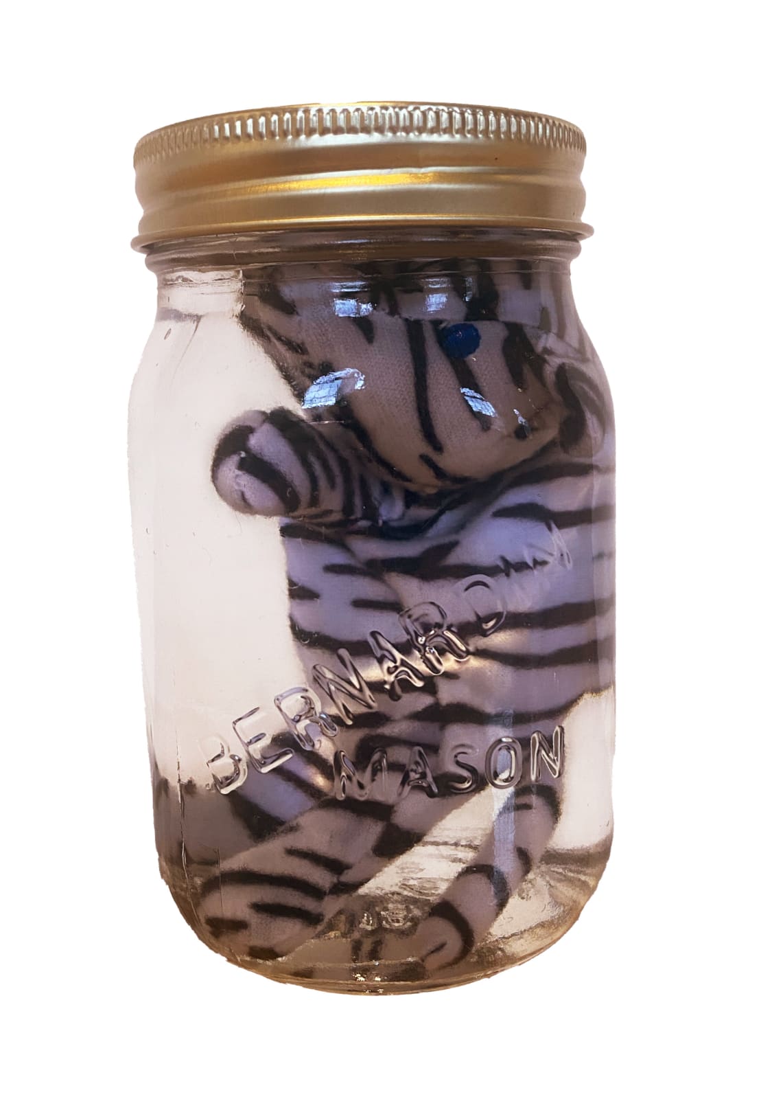 IAIN BAXTER&, Animal Preserve 6, 1999