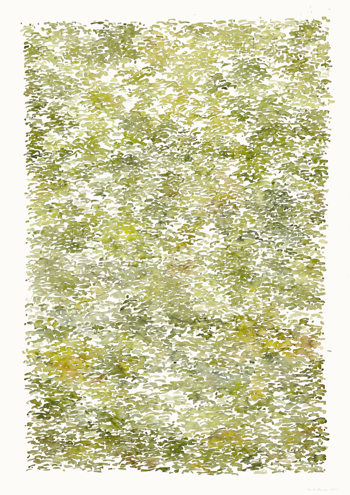 Cornelia Thomsen, Garden Nr. 017, 2005