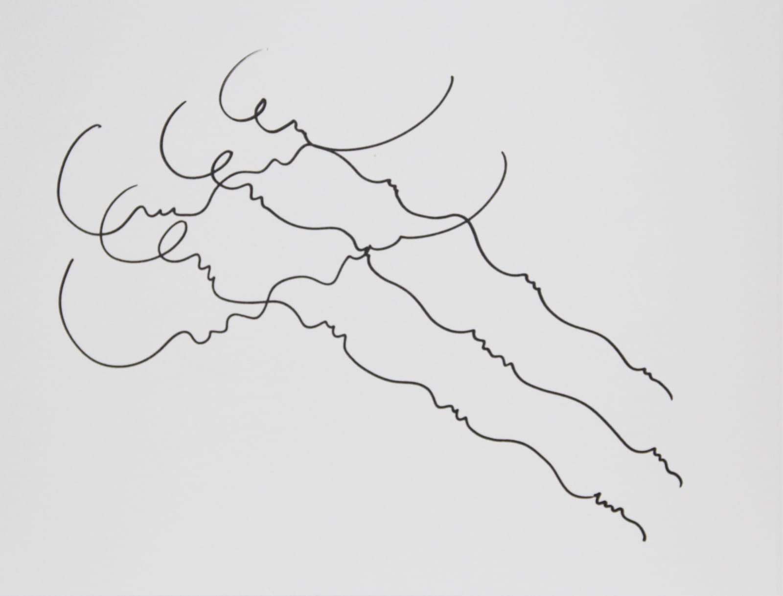 Cornelia Thomsen, Pathways Nr. 12