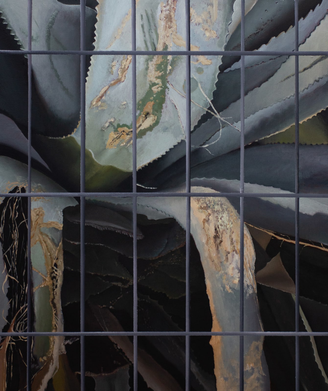 Uri Kloss, Agave Americana no. 4, , 2024