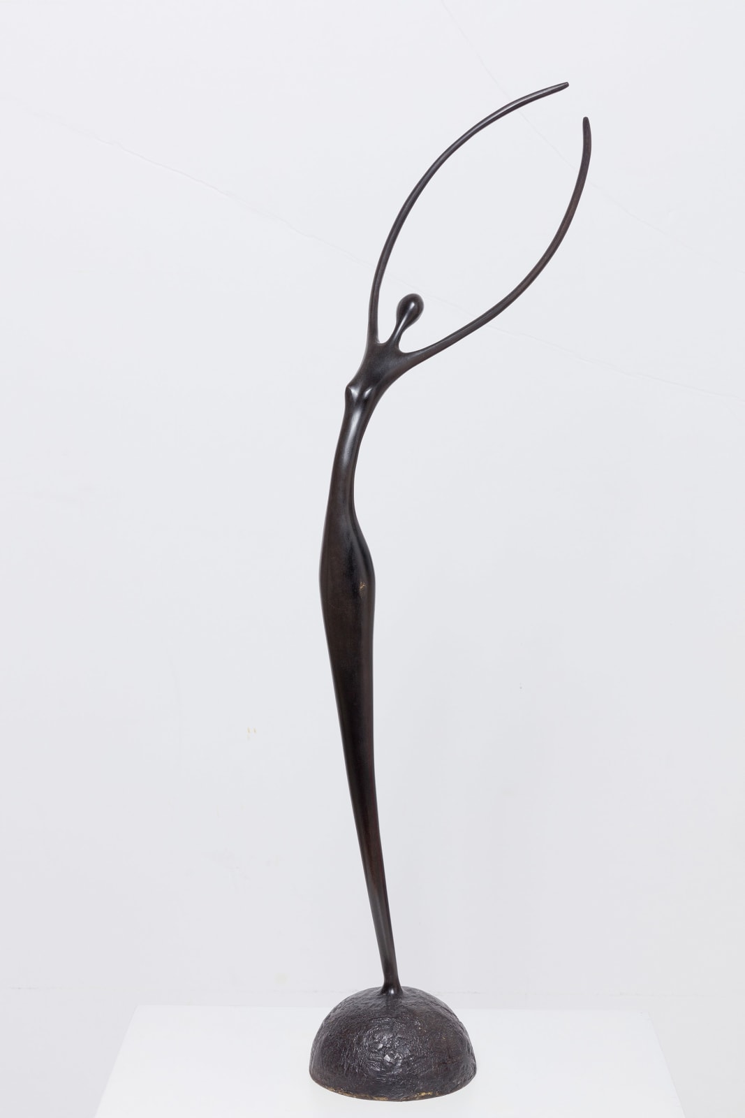 Ruth Bloch, Flying High, 2019