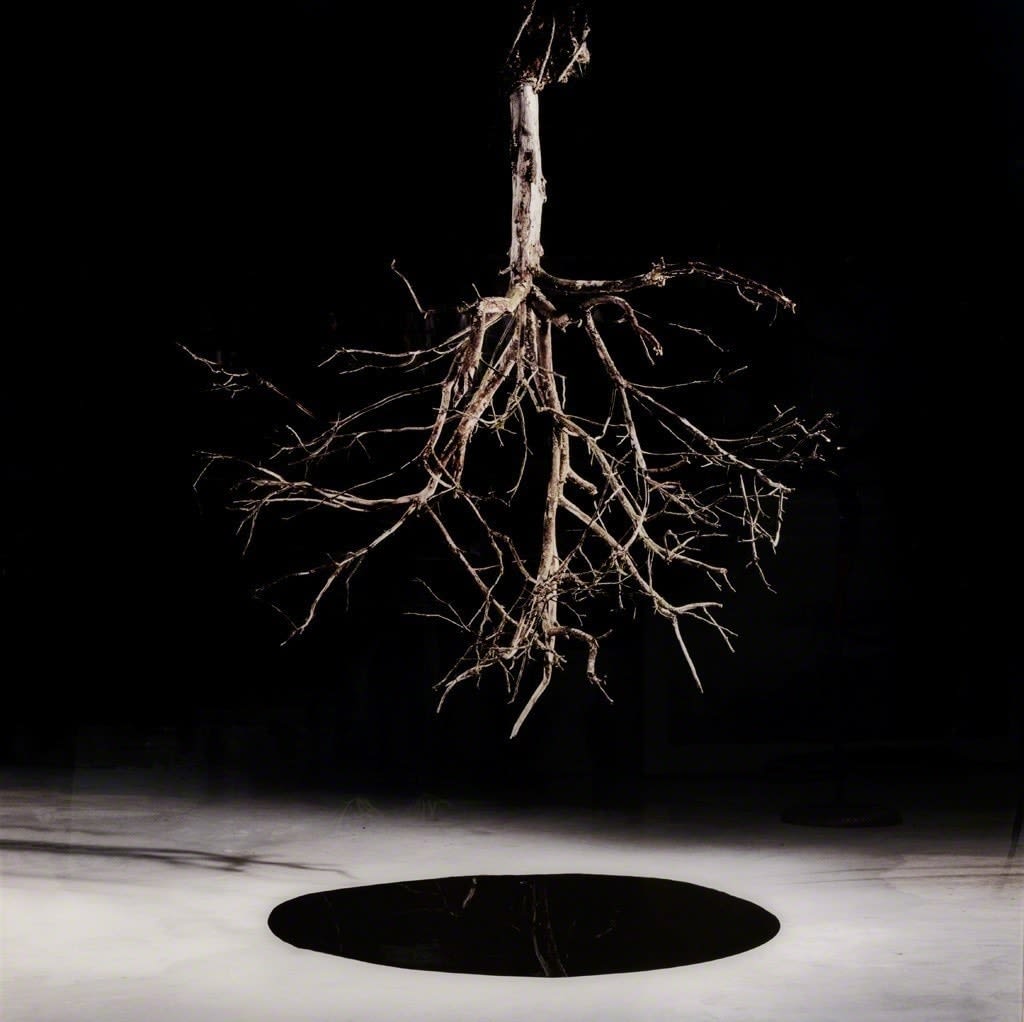 Tal Shochat, Untitled, flying ceiling series, 2007