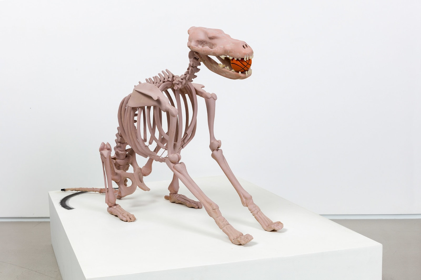 Tal Frank, Jeff's Dog, 2008