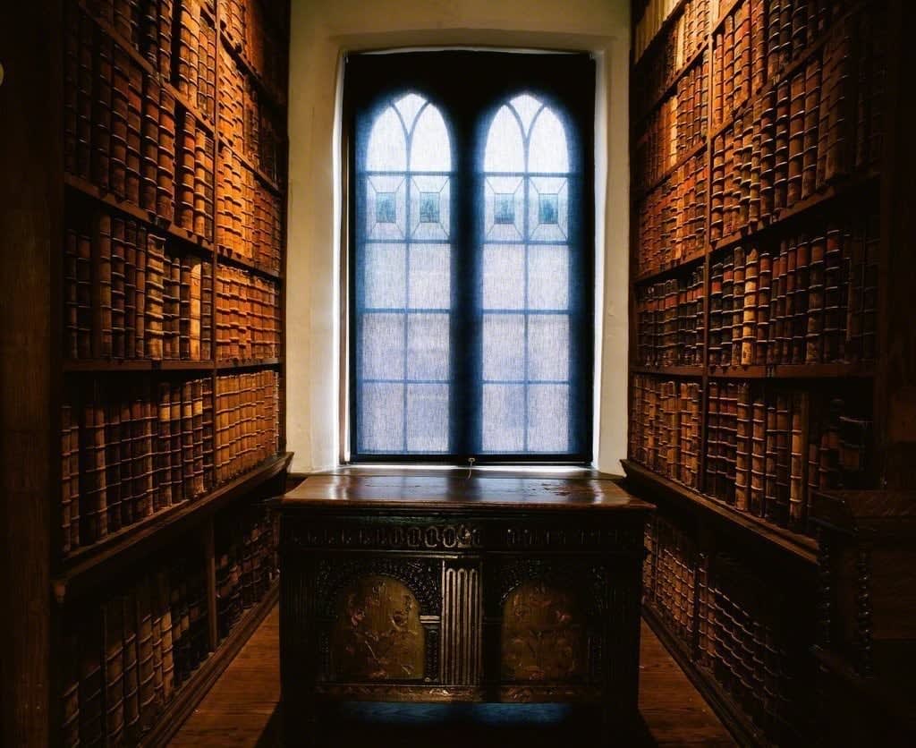 Tali Amitai-Tabib, Things seen in Oxford, Tri 5, 2014