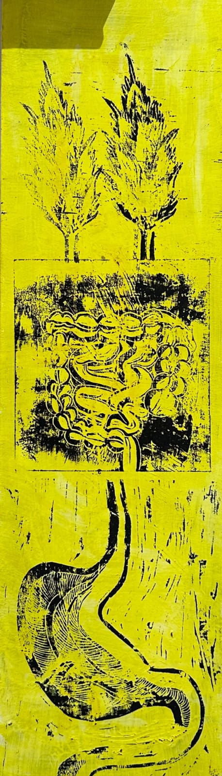 Gili Blacher, Untitled, 2015