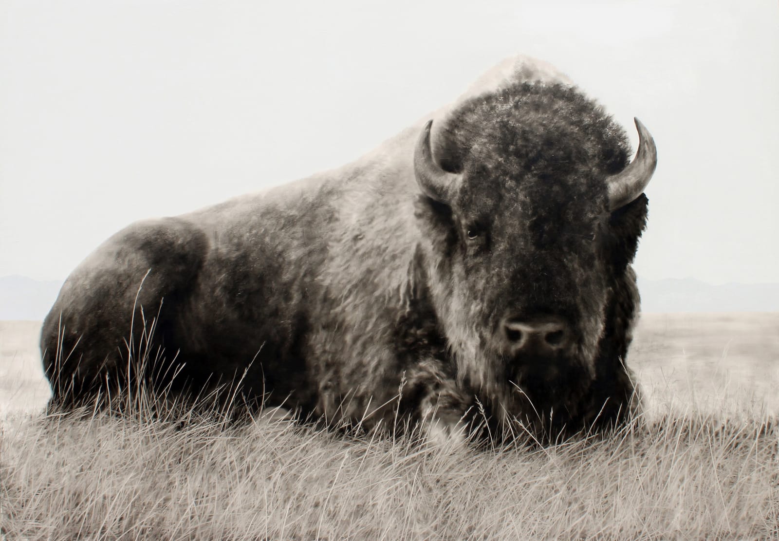 Kenneth Peloke, At Ease