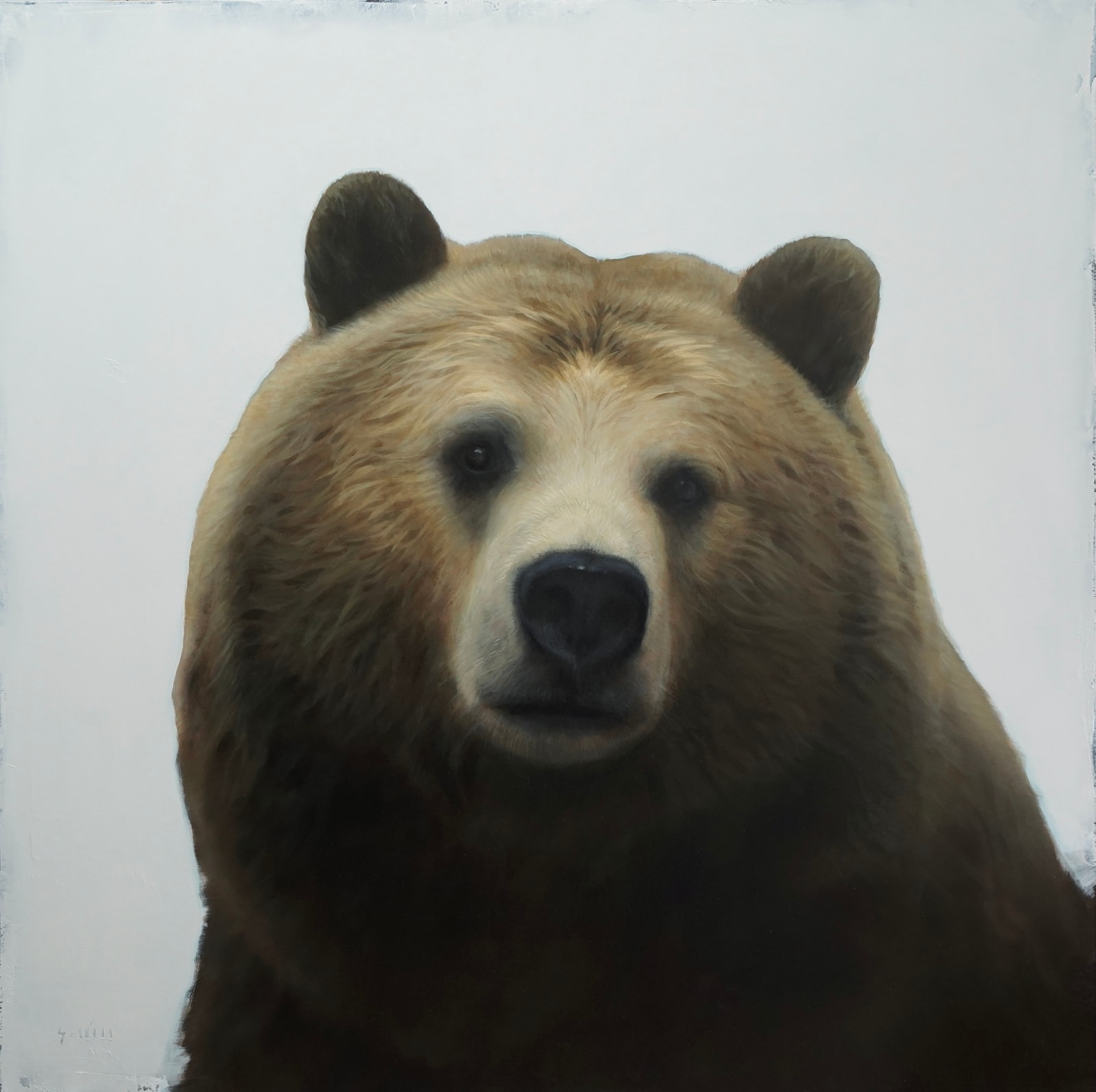 George Hill, Symbiosis Bear