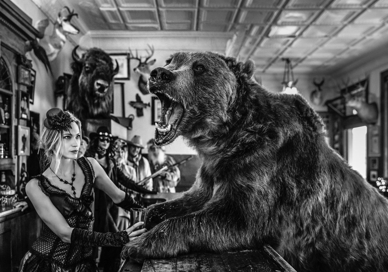 David Yarrow, Where's My Lunch