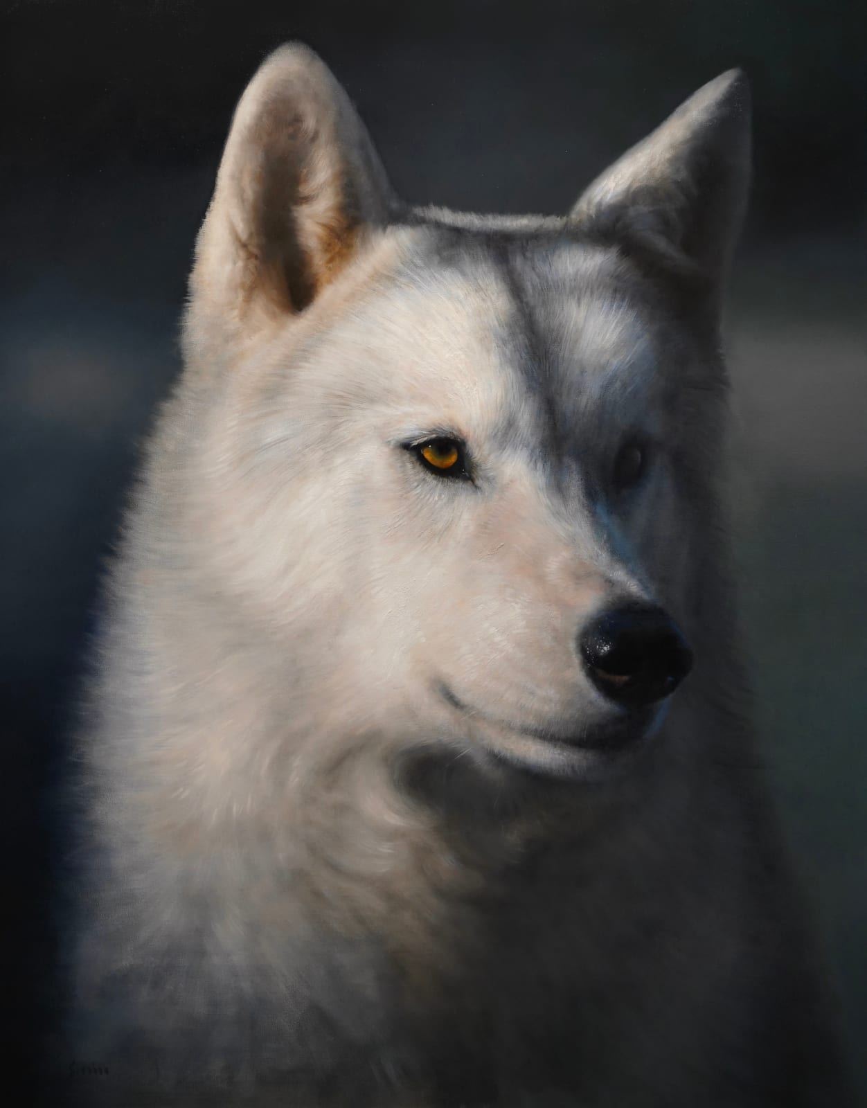 George Hill, Wapiti Alpha