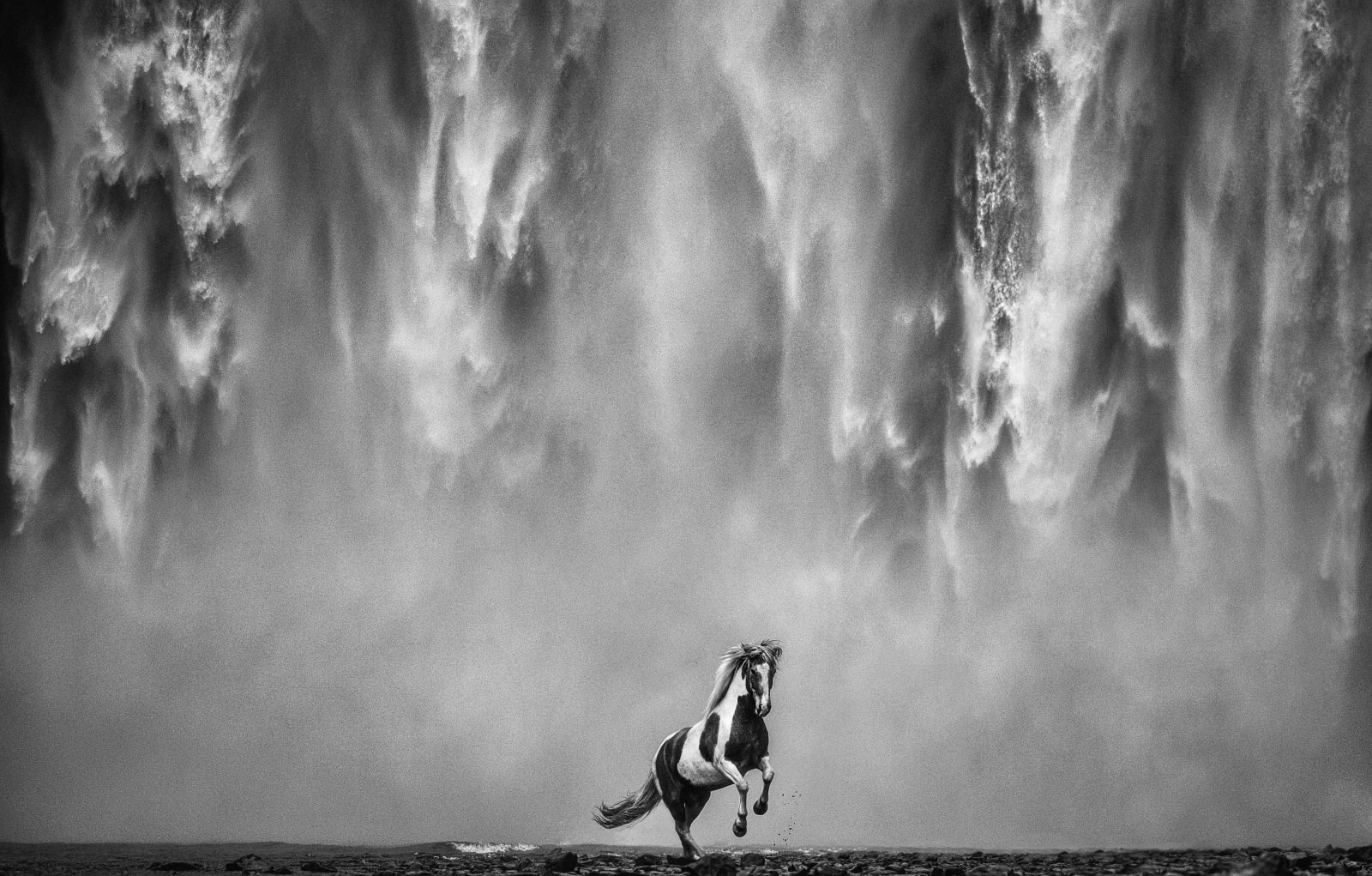 David Yarrow, Legends of the Fall