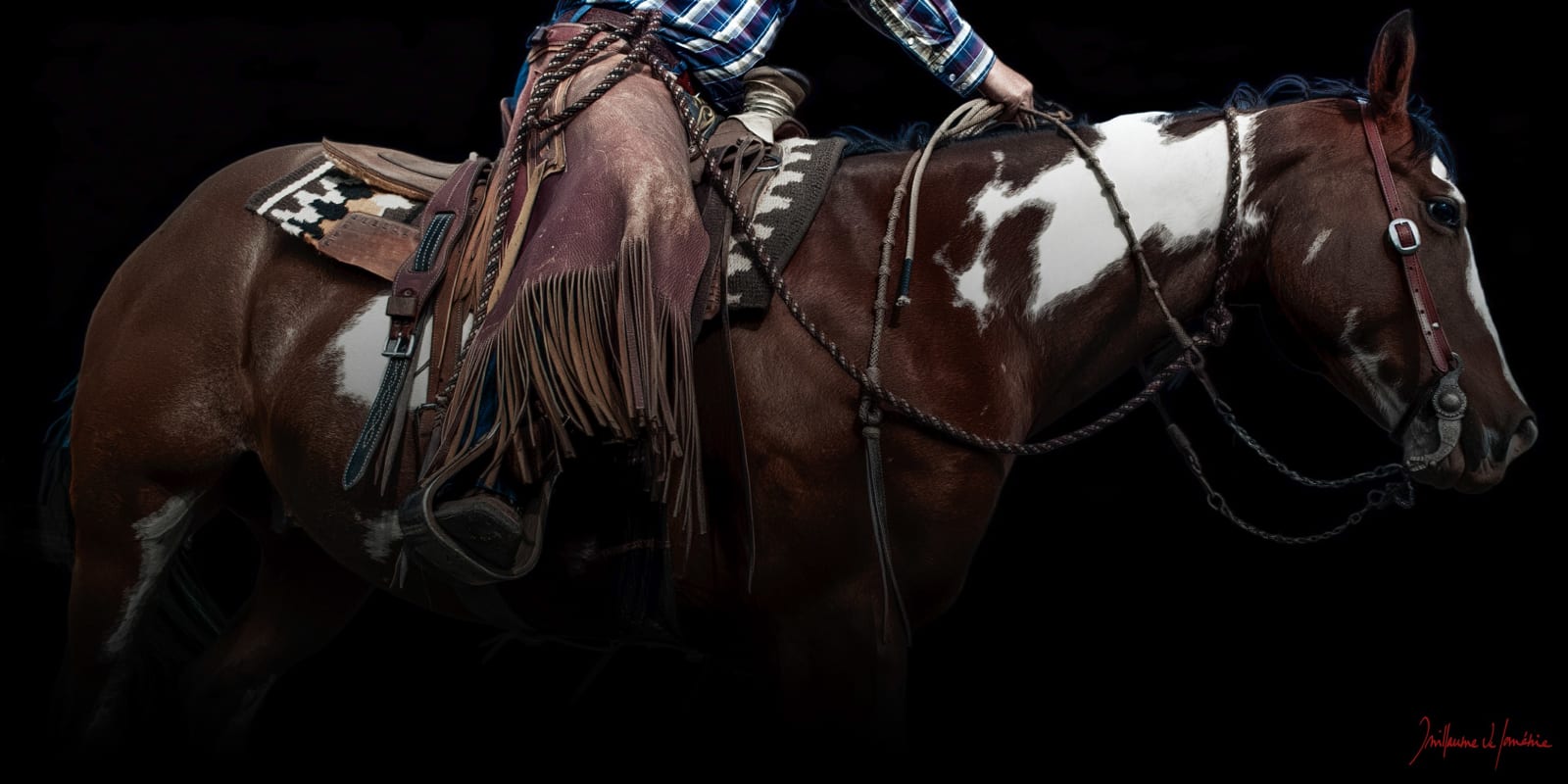 Guillaume Beau de Lomenie, From the Shade