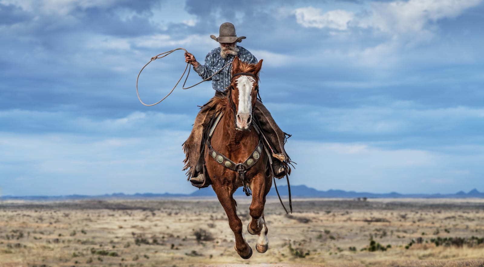David Yarrow, True Grit (Color)