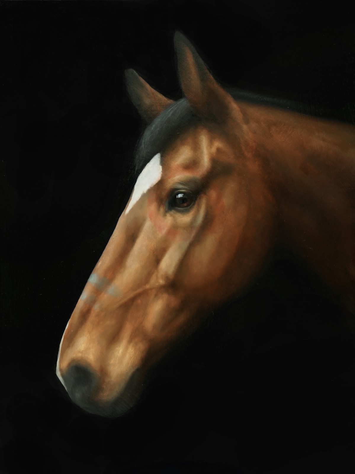 George Hill, War Pony