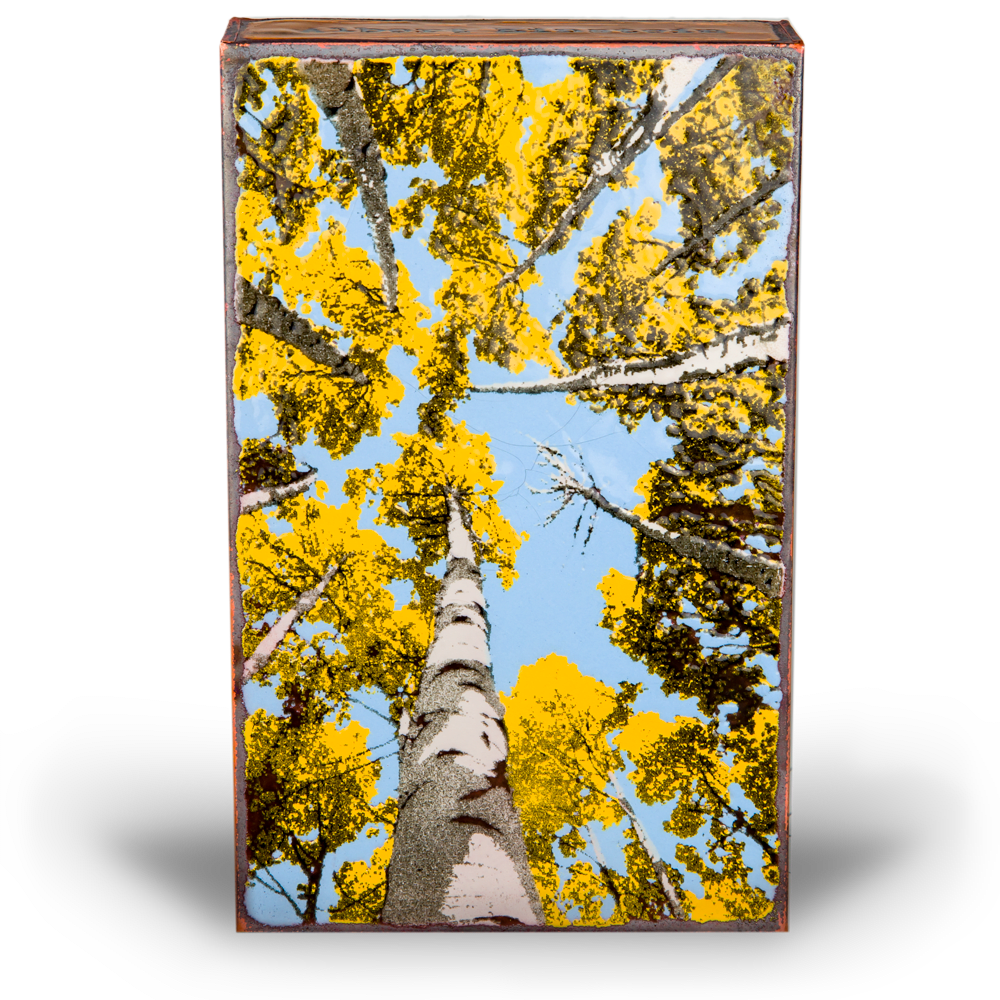 Houston Llew, Depth Perception