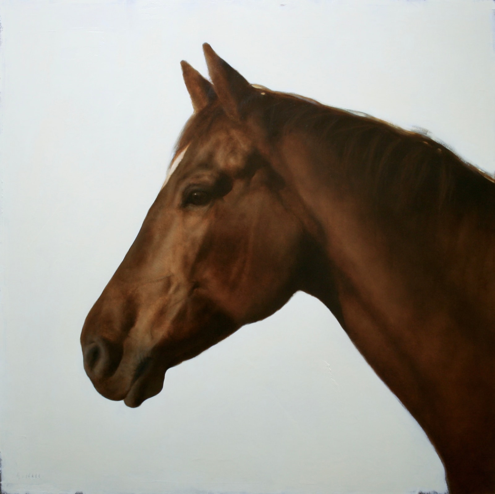 George Hill, Symbiosis Horse I