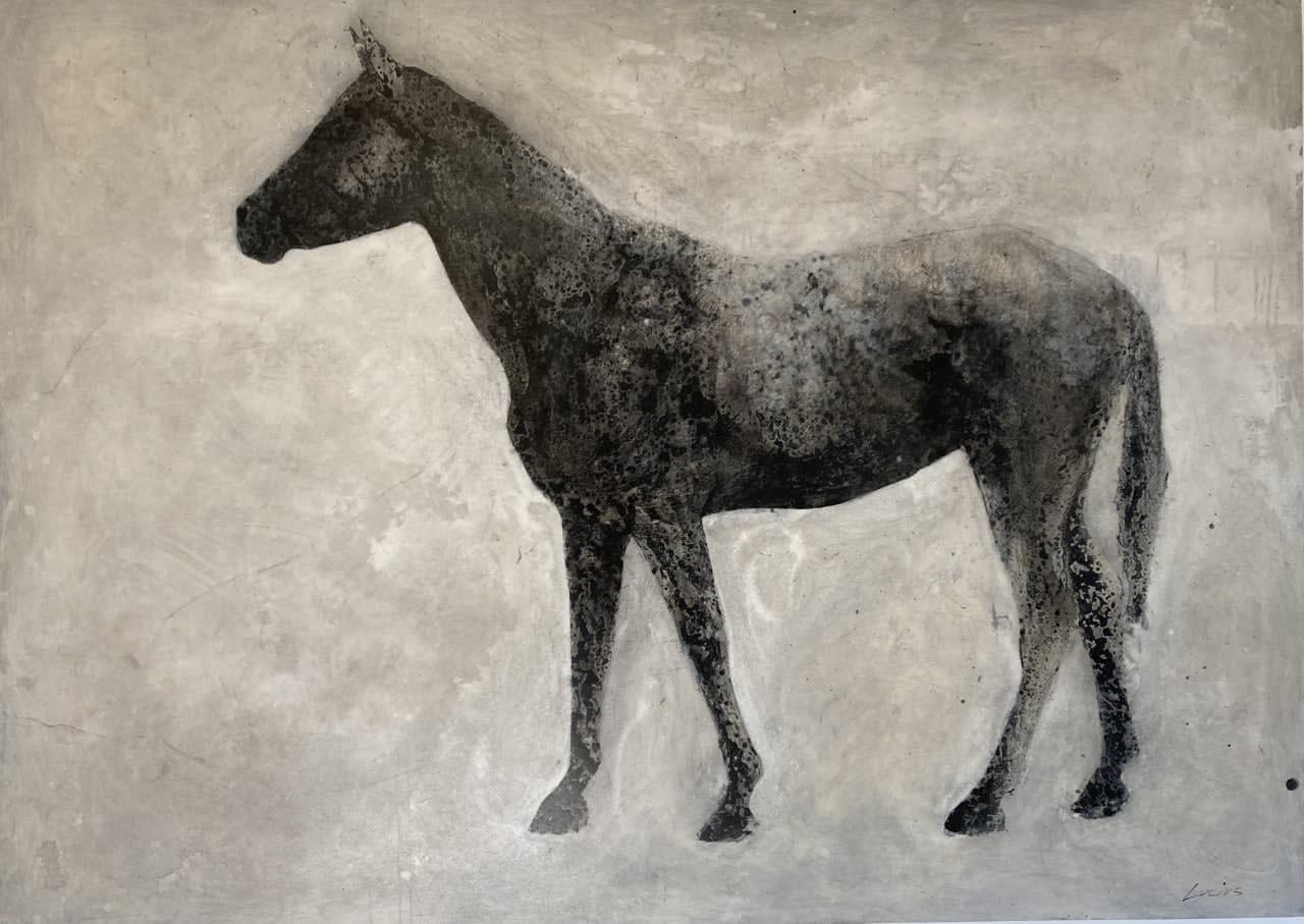 Lex Lucius, Mare Warmblood