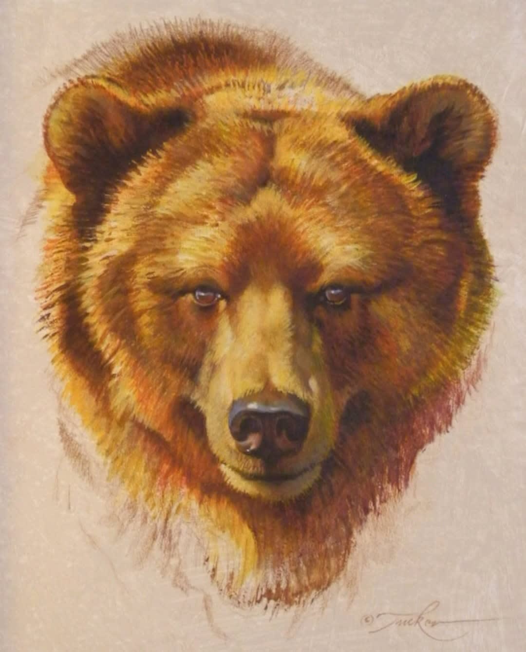 Ezra Tucker, Grizzly