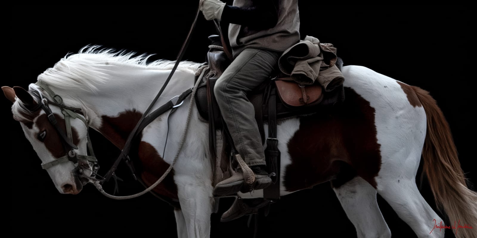 Guillaume Beau de Lomenie, Toward the Sun