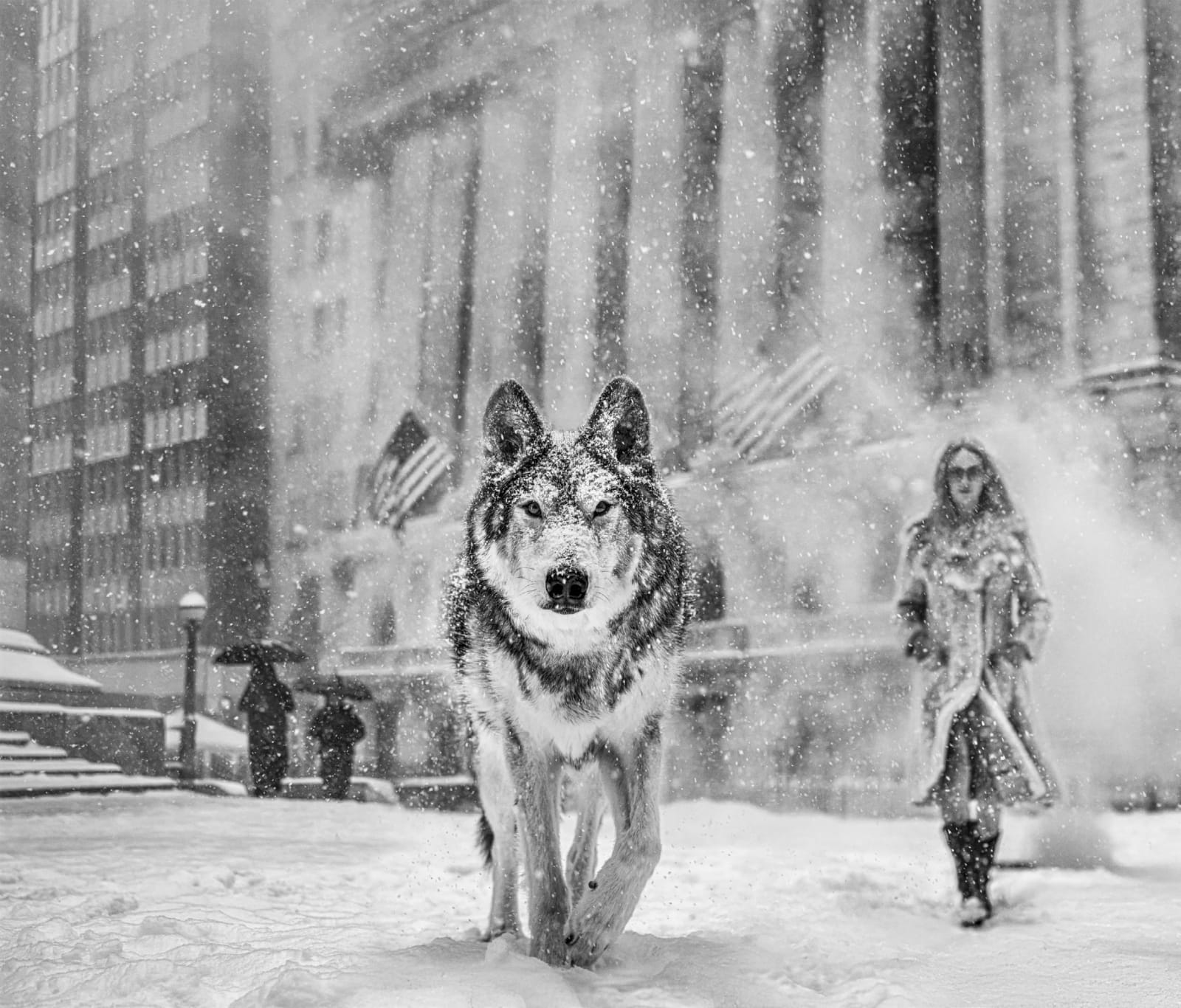 David Yarrow, Wall Street Stories