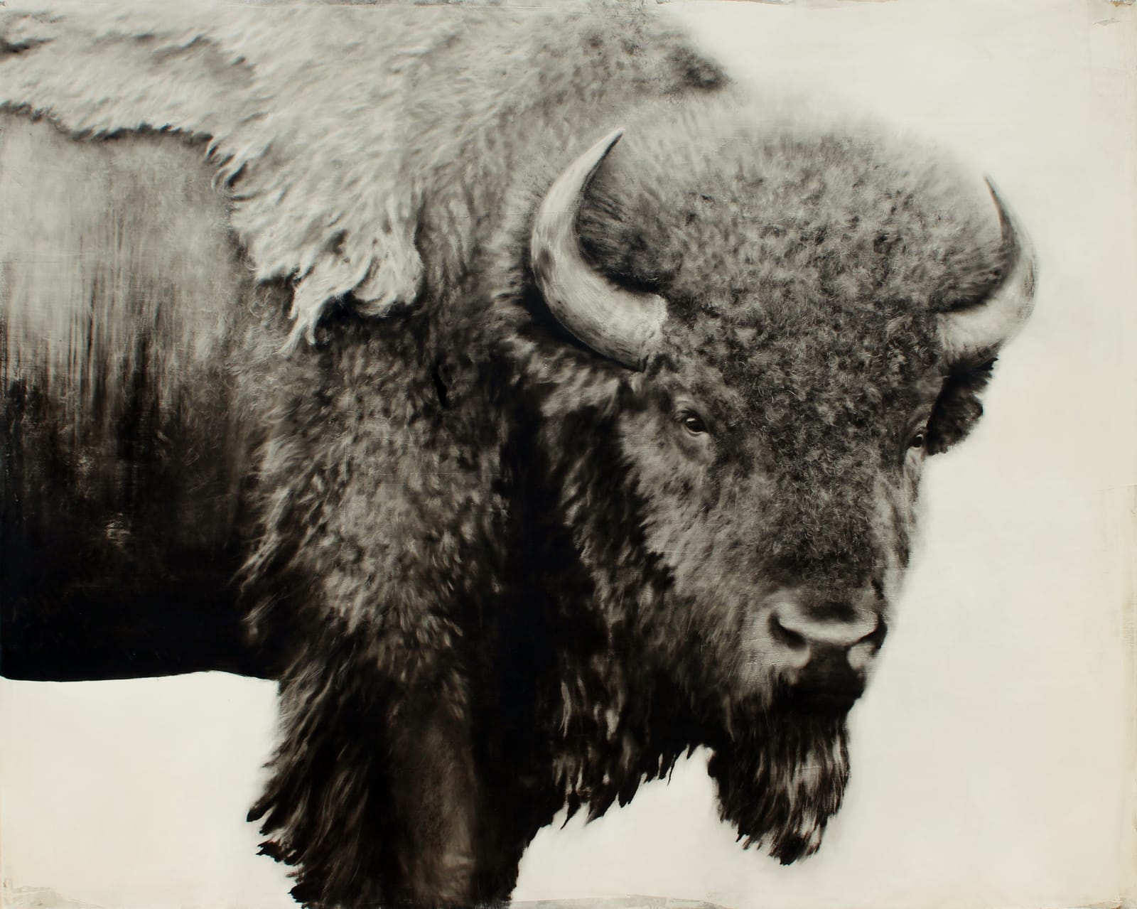Kenneth Peloke, Presence