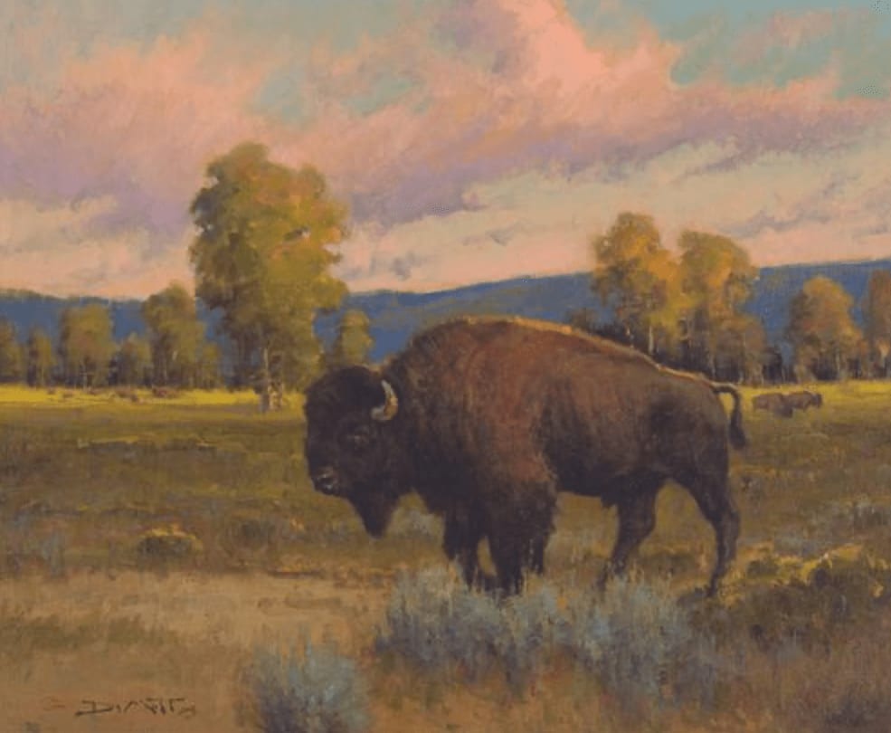 John DeMott, Bison