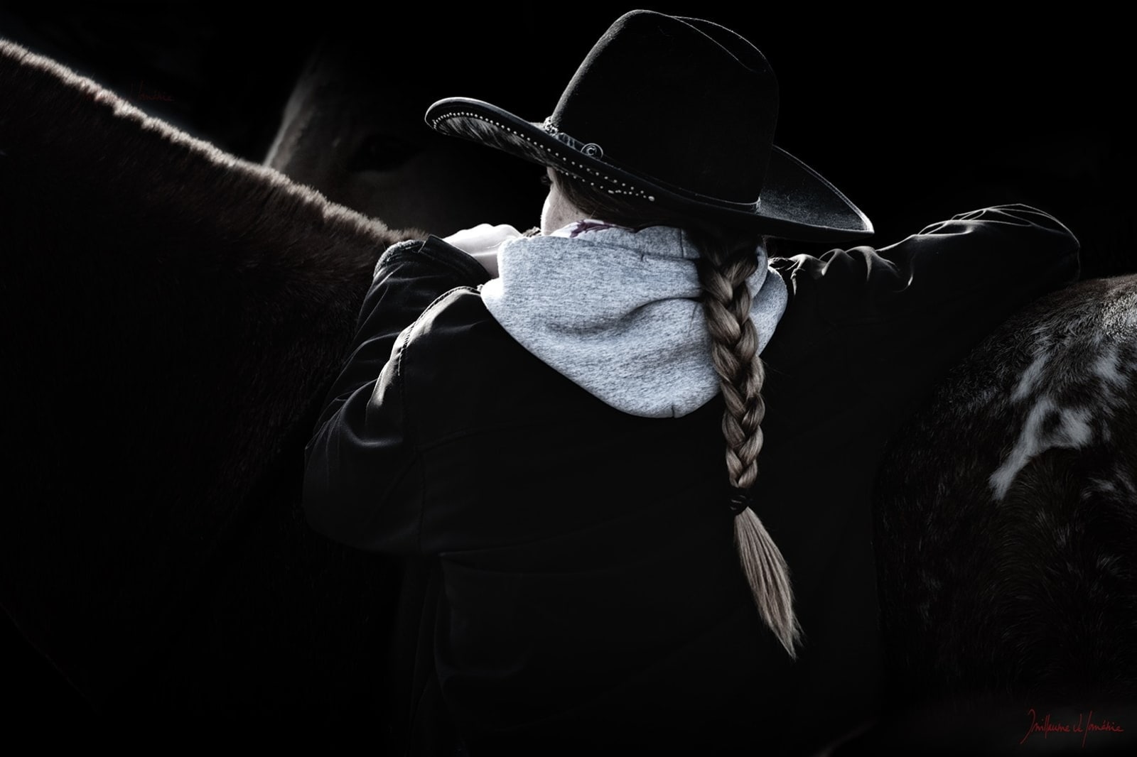 Guillaume Beau de Lomenie, Bonded Souls