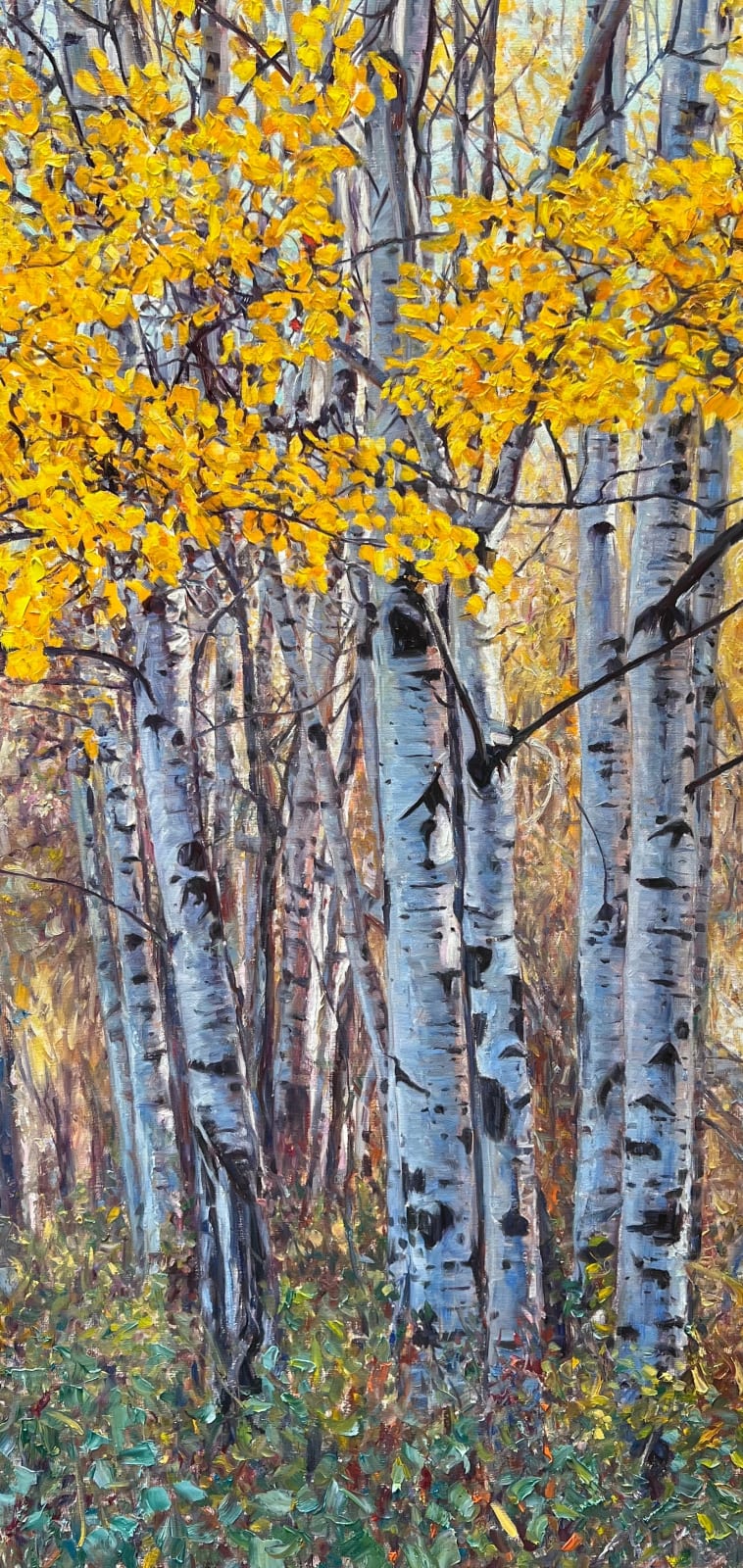 John Banovich, Aspen Grove, 2023