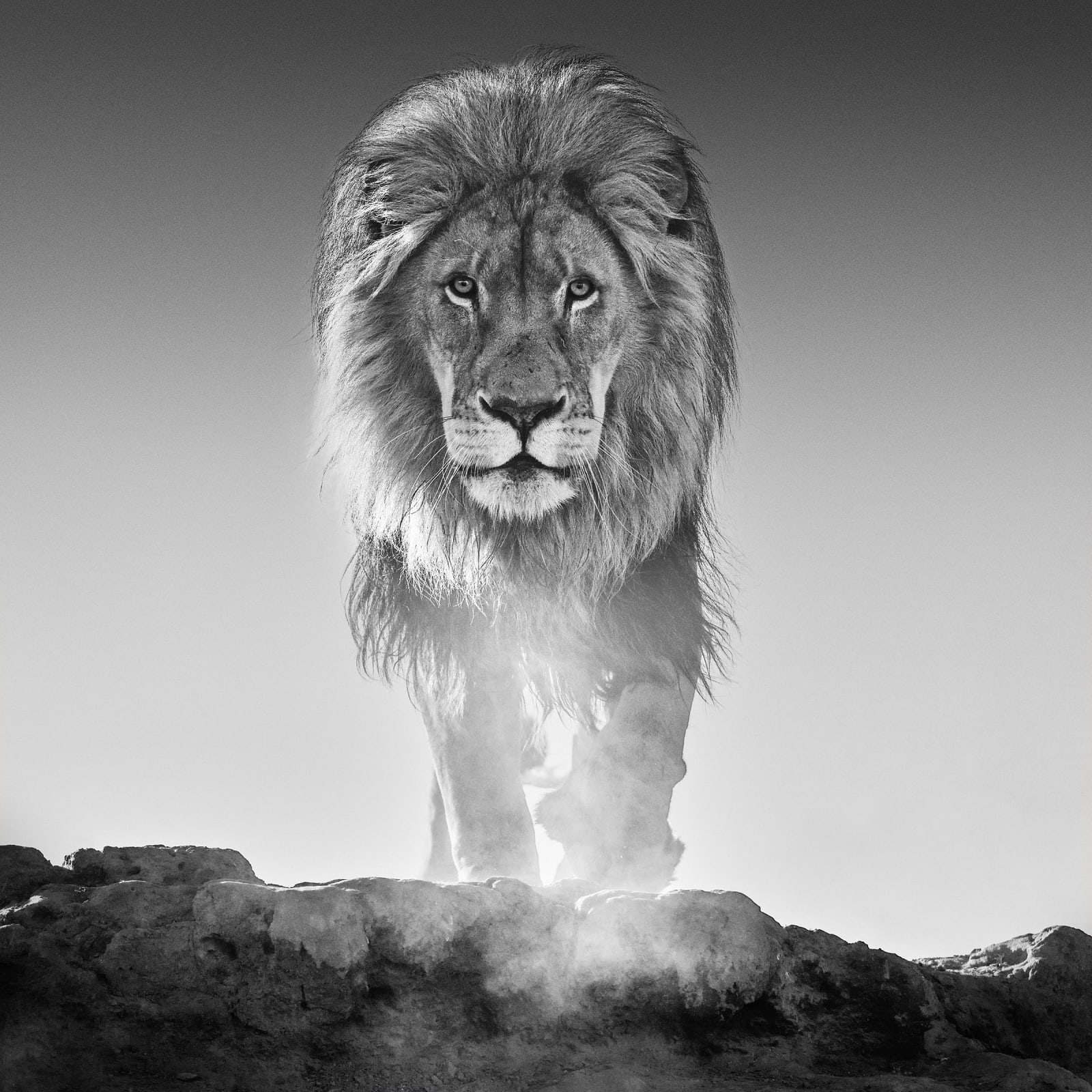 David Yarrow, The Old Testament