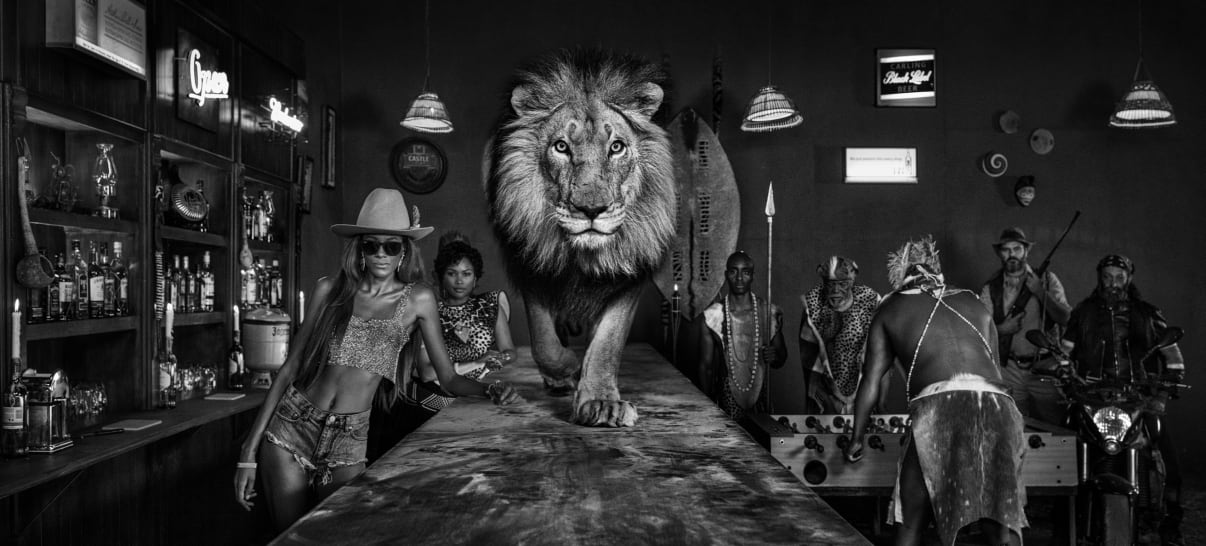 David Yarrow, The Lion's Den