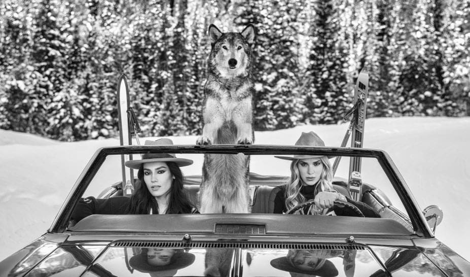 David Yarrow, Shangri La