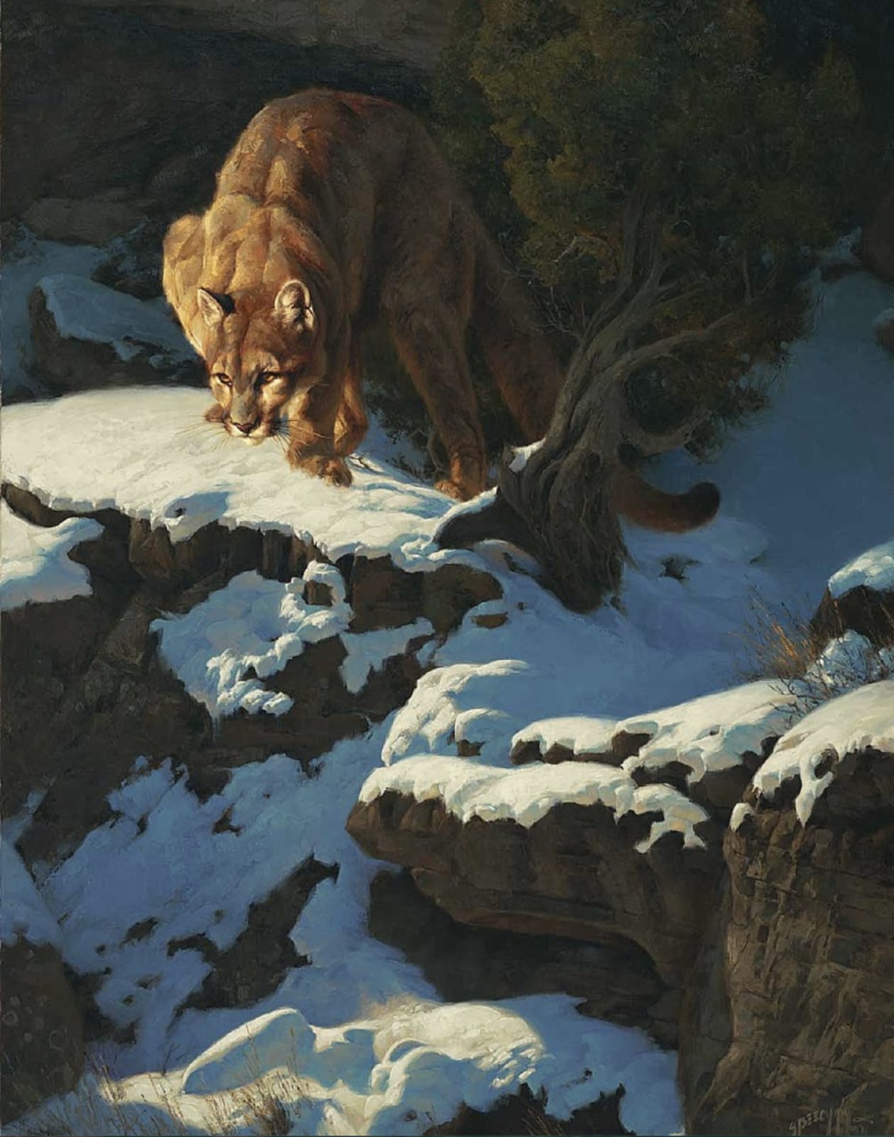 Greg Beecham, Cats Lair