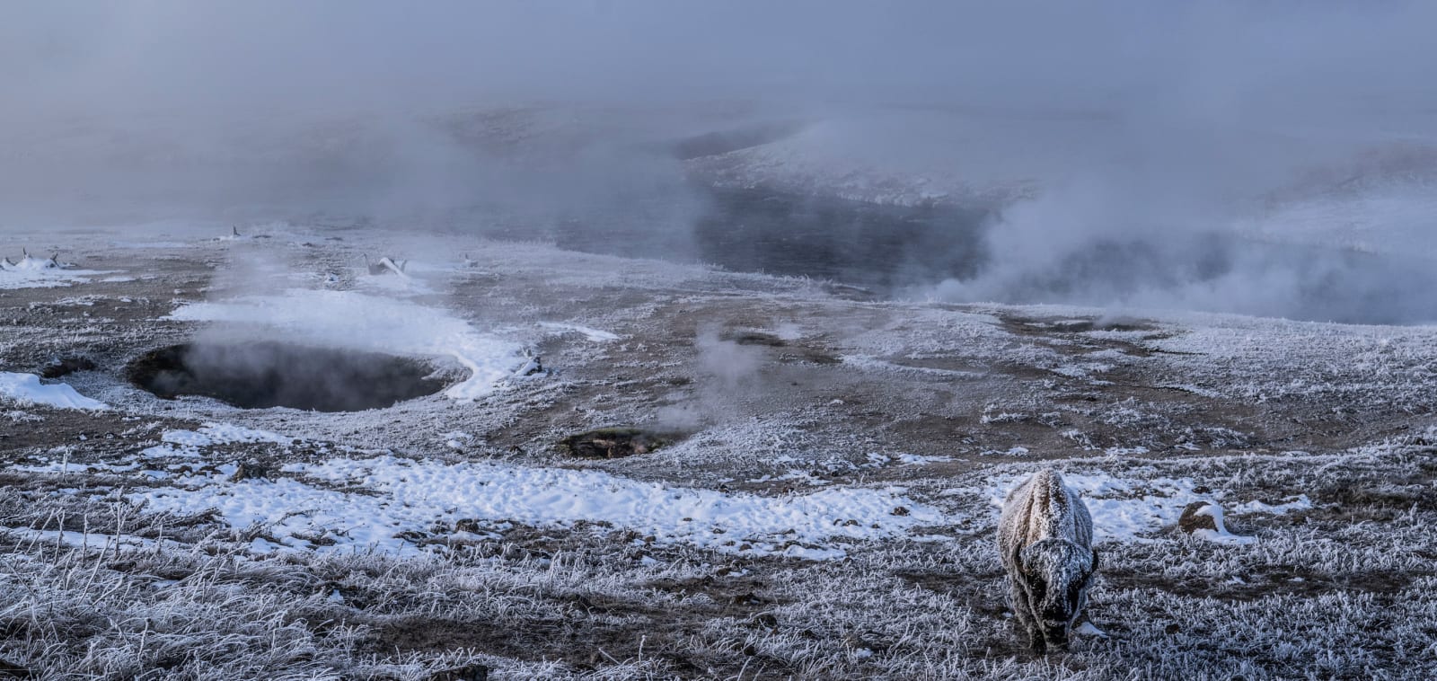 David Yarrow, In the Beginning