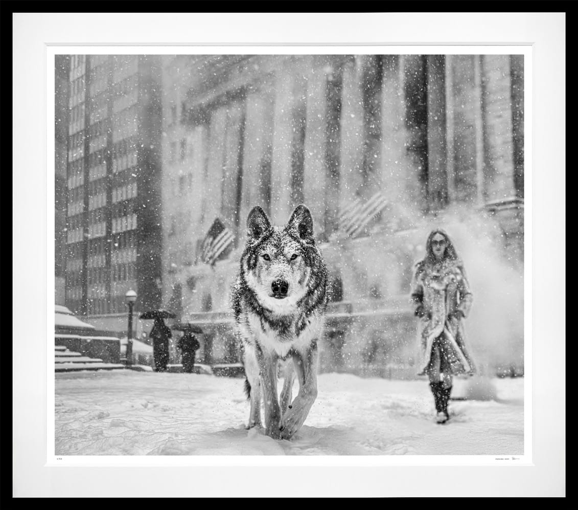 David Yarrow, Wall Street Stories