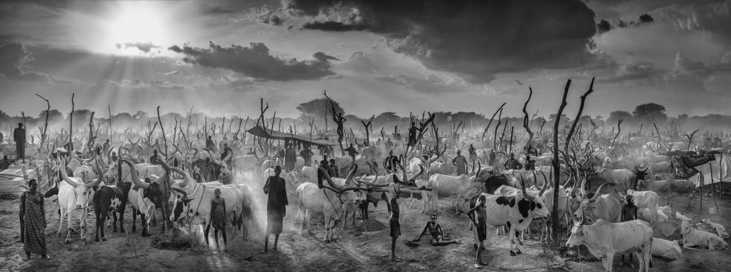 David Yarrow, The New Testament