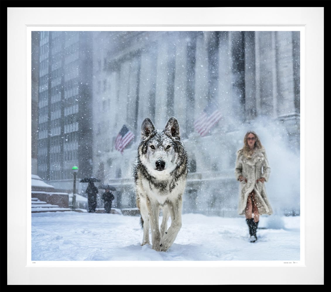 David Yarrow, Wall Street Stories