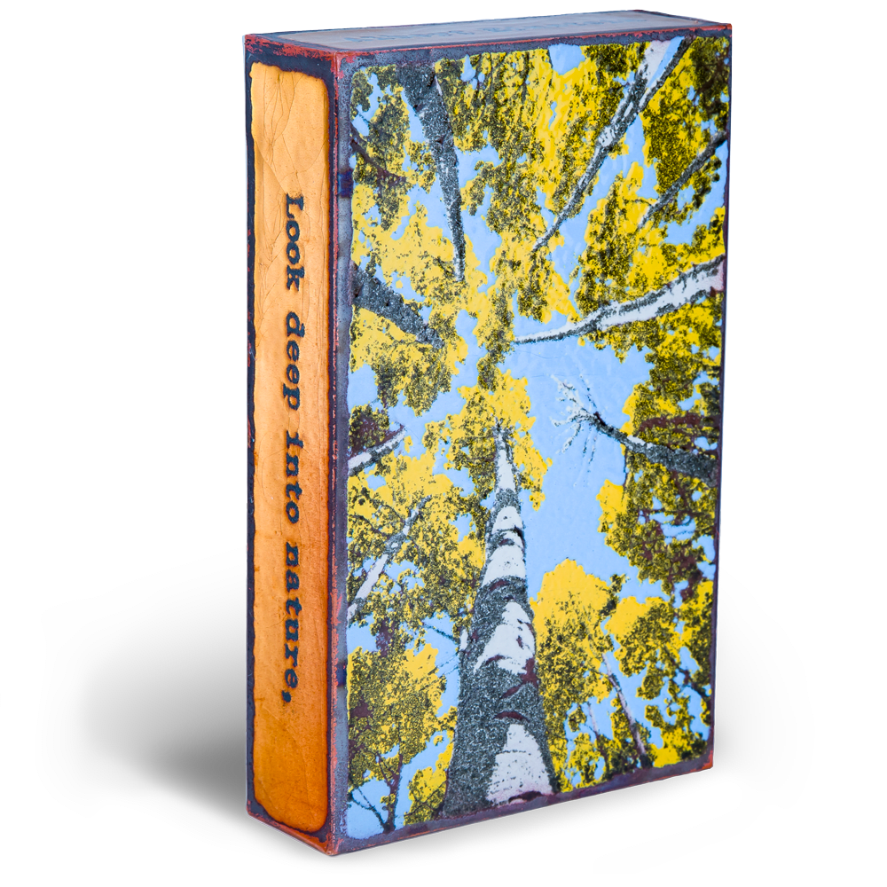 Houston Llew, Depth Perception