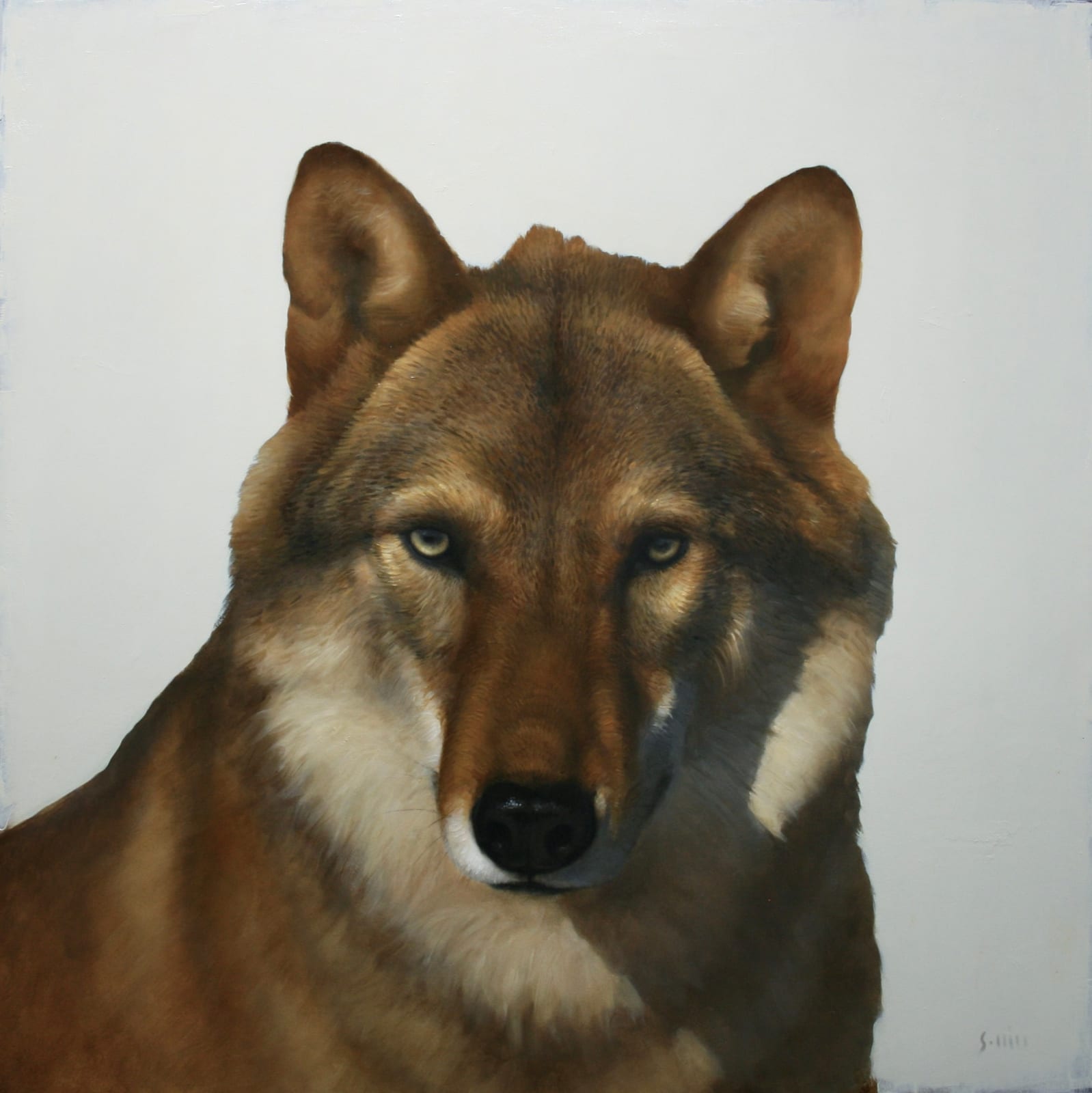 George Hill, Symbiosis Red Wolf