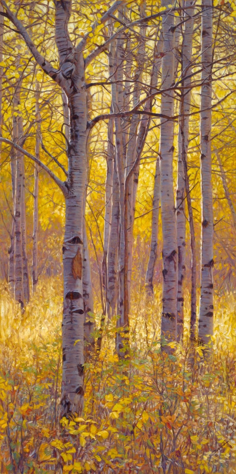 John Banovich, Grove, 2023